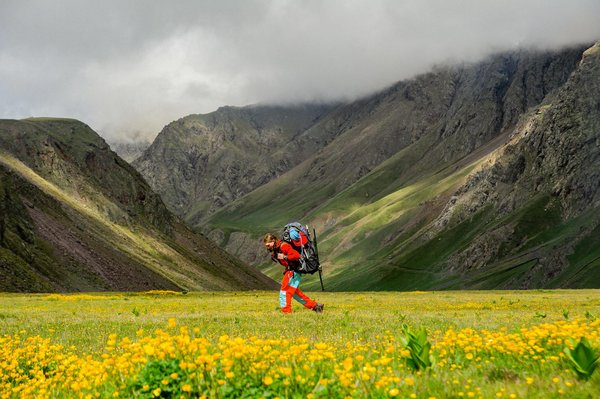 Voyagez Futé : Comparaison entre Agences de Voyage en Ligne et Traditionnelles